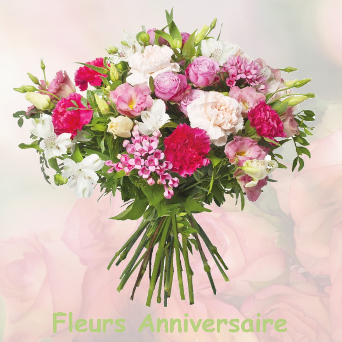 fleurs anniversaire DOMMARTIN-SOUS-AMANCE